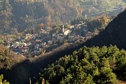 87 Bracca zoomata dal Rabbioso
